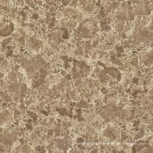 Foshan Full Glazed Polished Porcelain Floor Tile (GY8204)